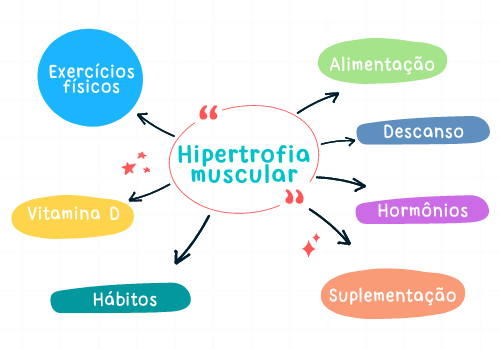 hipertrofia muscular