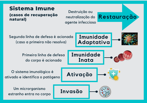 como aumentar a imunidade